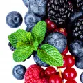 Frutos Silvestres