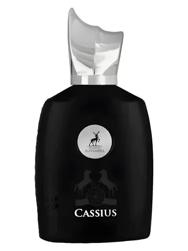 MAISON ALHAMBRA CASSIUS 100ML