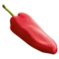 Pimenta Vermelha