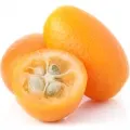 Quinca