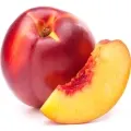 Nectarina