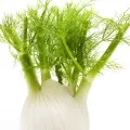 Fennel