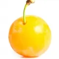 Ameixa Mirabelle