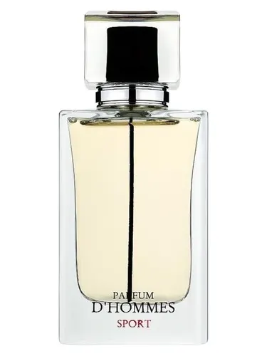 FRAGRANCE WORD D HOMMES SPORT 100ML
