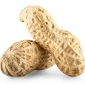 Amendoim