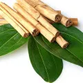 Folha De Canela