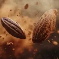 Cocoapulse