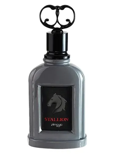 Stallion Zimaya - imagem 1