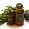 Notas Aromáticas