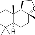 Ambrox® Super