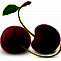 Cereja Preta