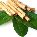 Folha De Canela