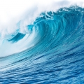 Notas Marinhas