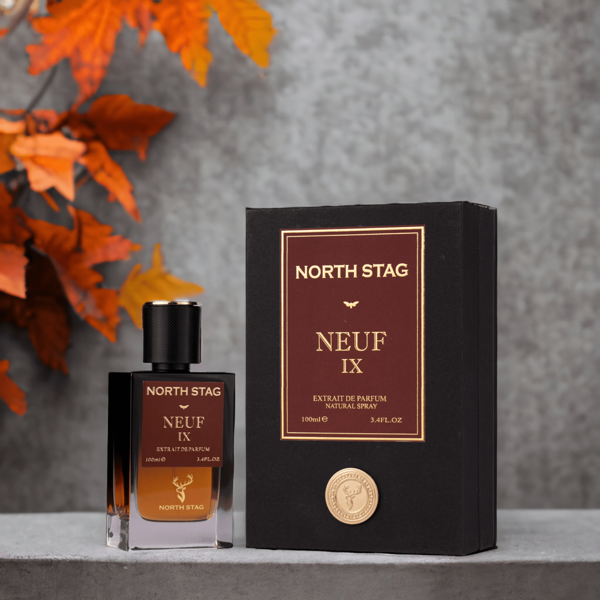 PARIS CORNER NORTH STAG NEUF IX 100ML - miniatura 2