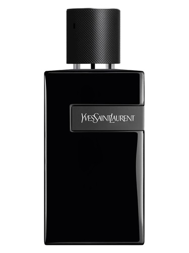 Y Le Parfum YSL
