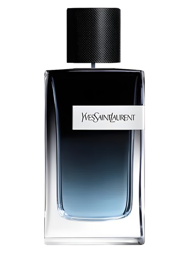 Yves Saint Laurent Y