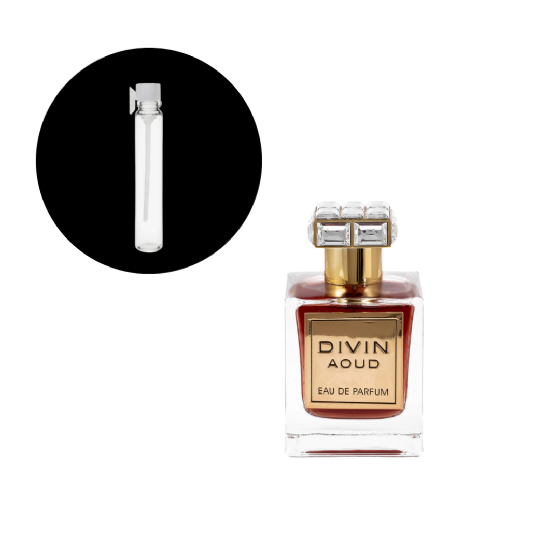 AMOSTRA PARIS DIVIN AOUD 1ML - imagem 1