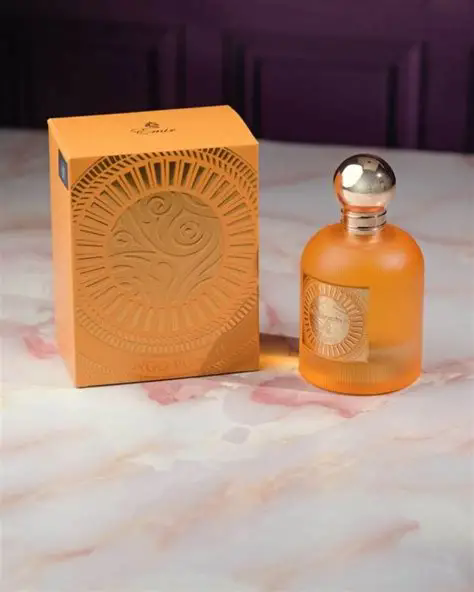 PARIS CORNER MANGO PUNCH EMIR 100ML - miniatura 2